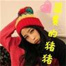 宠物美容多久学得会知识